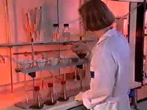 Understanding the Determination of Aflatoxins in Feedstuff