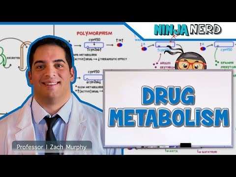 Understanding Drug Metabolism: The Role of Pharmacokinetics