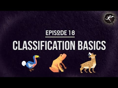 Understanding the Classification of Animals and Plants: A Dive into Systematics